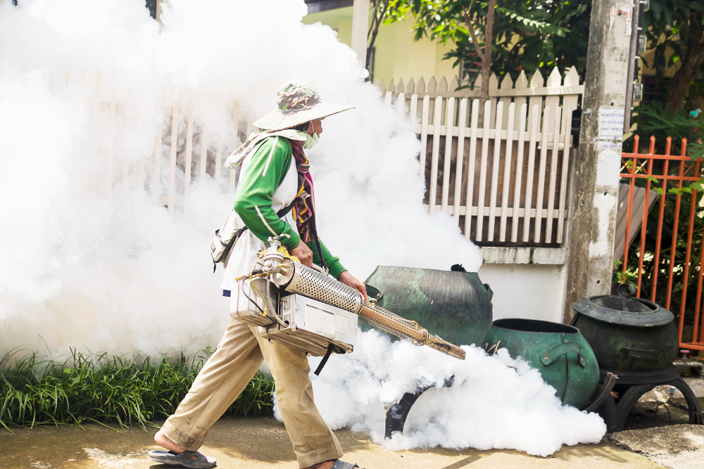 Pest Control and Disinfection Services